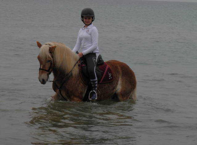  Junger Reiter im Wasser 